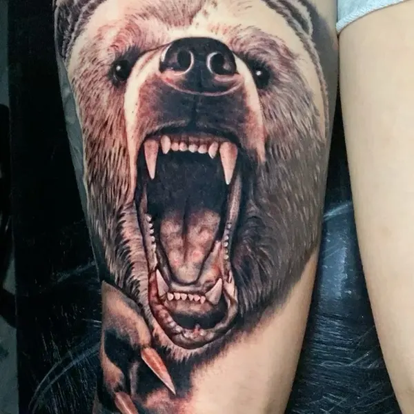 곰, Animal, 고릴라