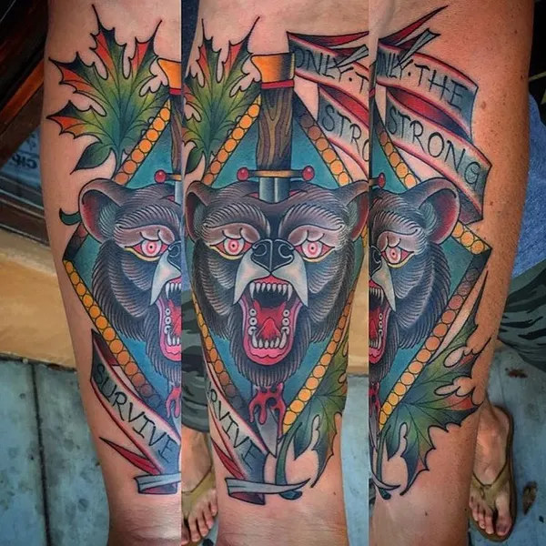 Animal, Tiger