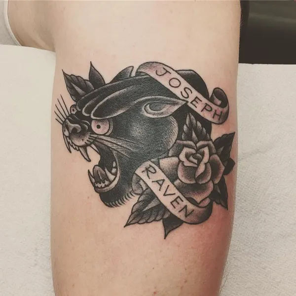Tiger, Animal