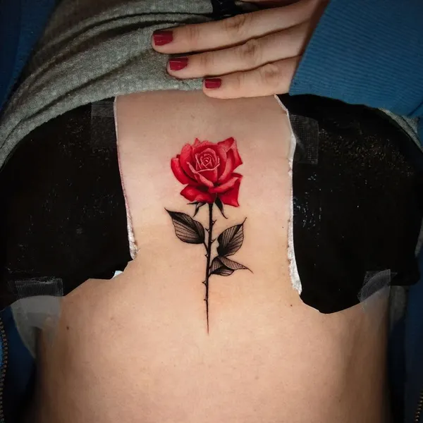 Flower, Rose