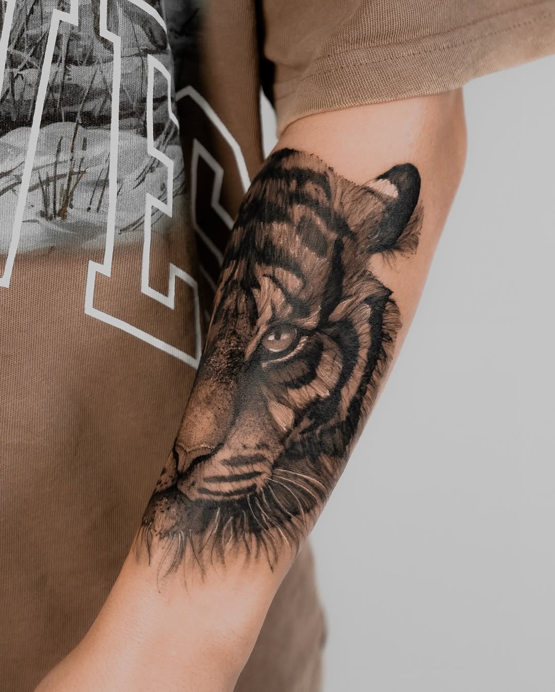 Tiger, 사자자리, 일본 호랑이, 중국 호랑이, 한국 호랑이