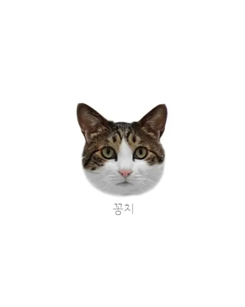 마네키네코, 고양이, 여우 가면