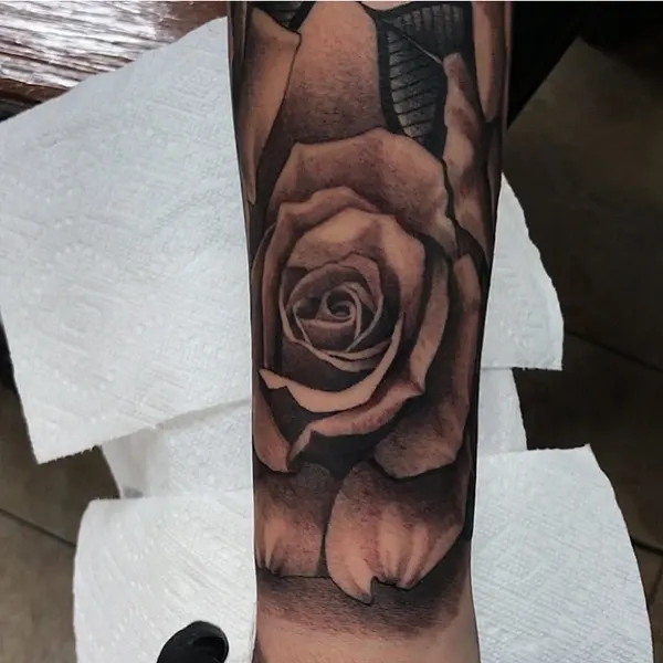 Flower, Rose