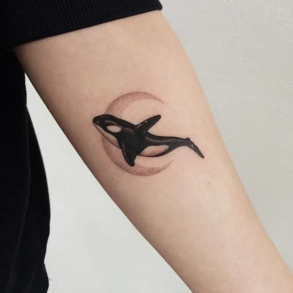 백조, 댄서