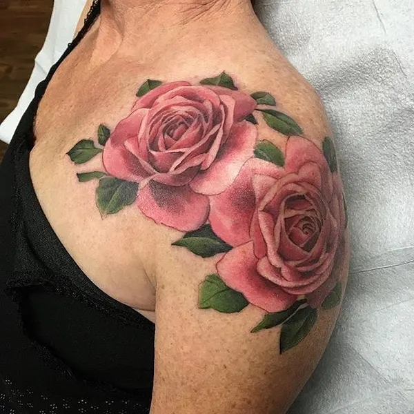 Flower, Rose, Nature
