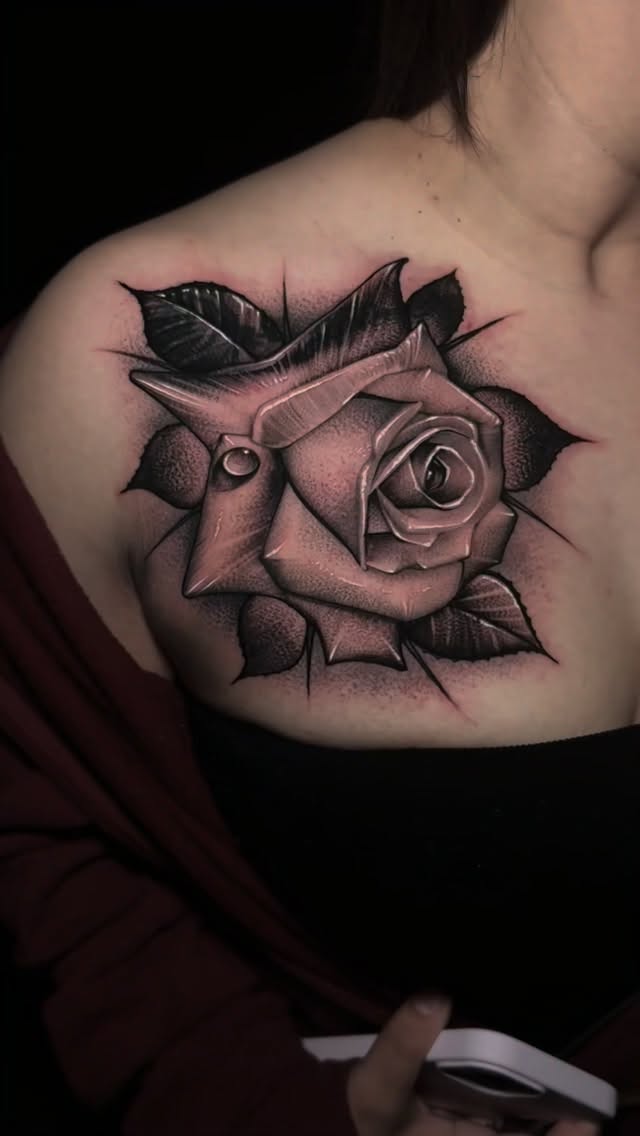 Flower, Rose, Nature