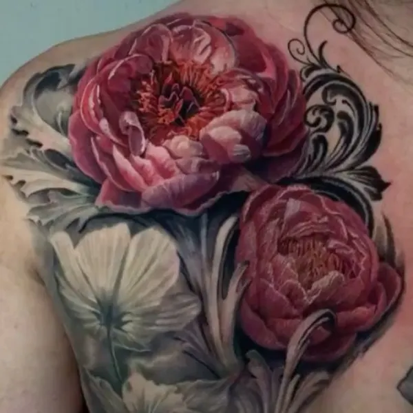 Flower, Rose, Nature