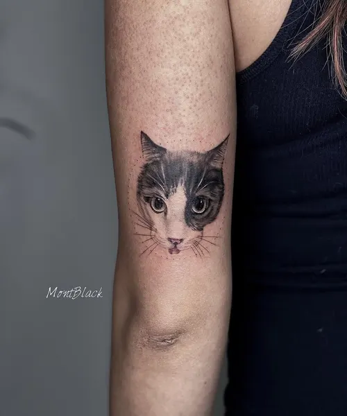 Animal