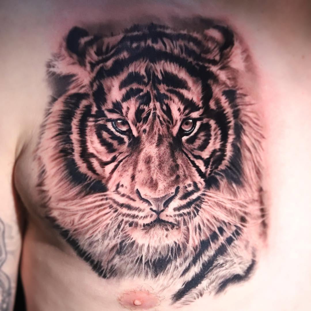 Tiger, 중국 호랑이, 한국 호랑이