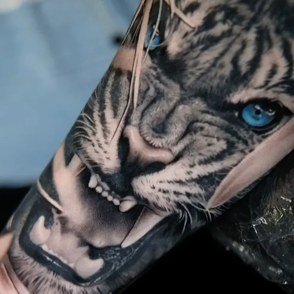 Tiger