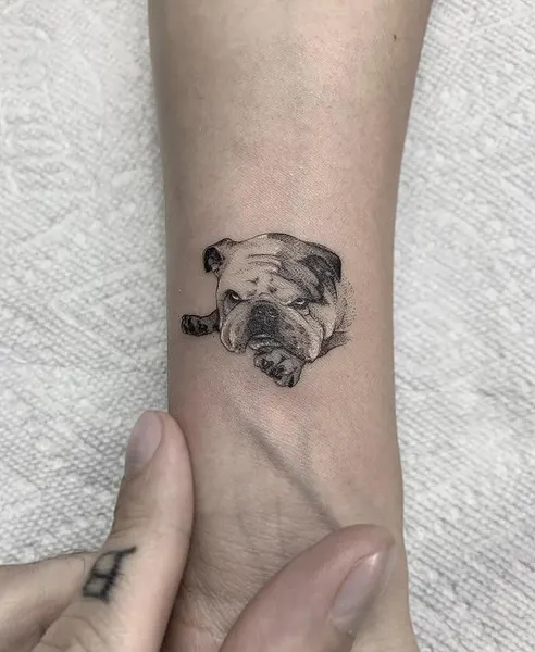 romeolacoste