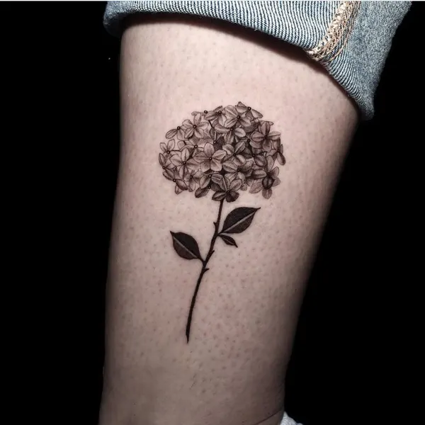 Flower, 수국