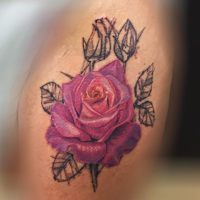 Flower, Rose, Nature