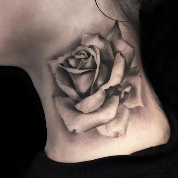 Nature, Rose, Flower