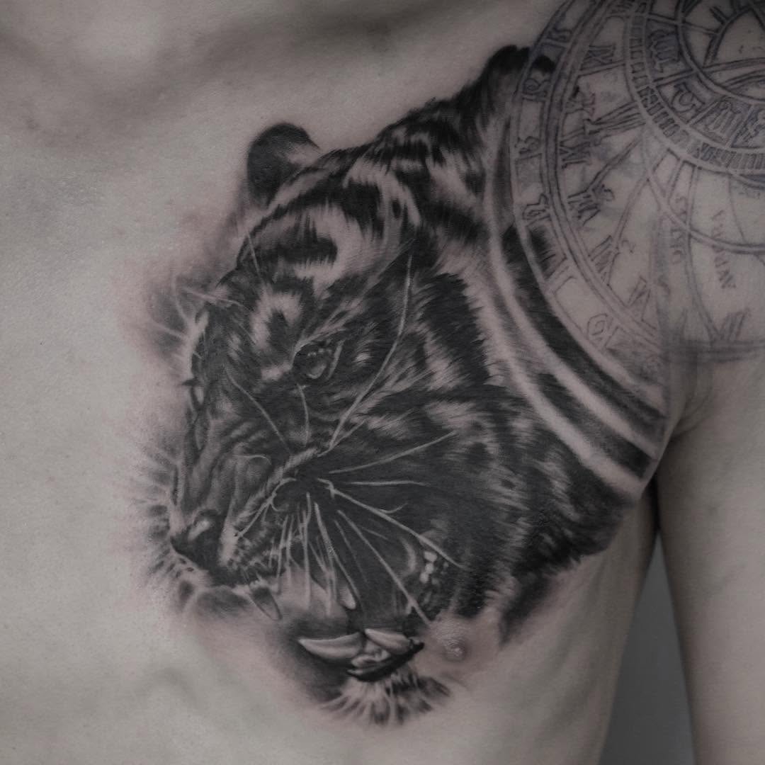 Tiger, 일본 호랑이, 중국 호랑이, 한국 호랑이