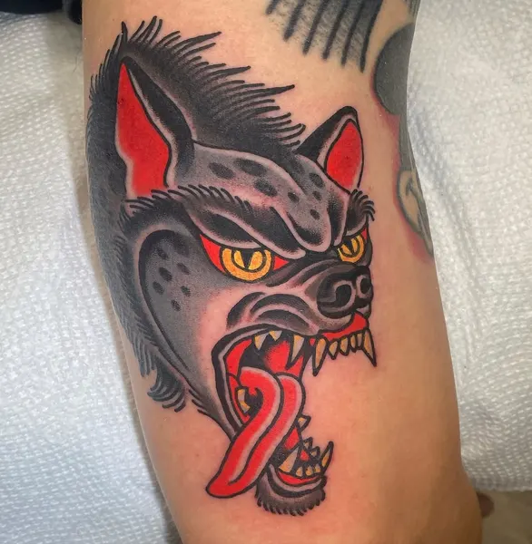 Tiger, Animal