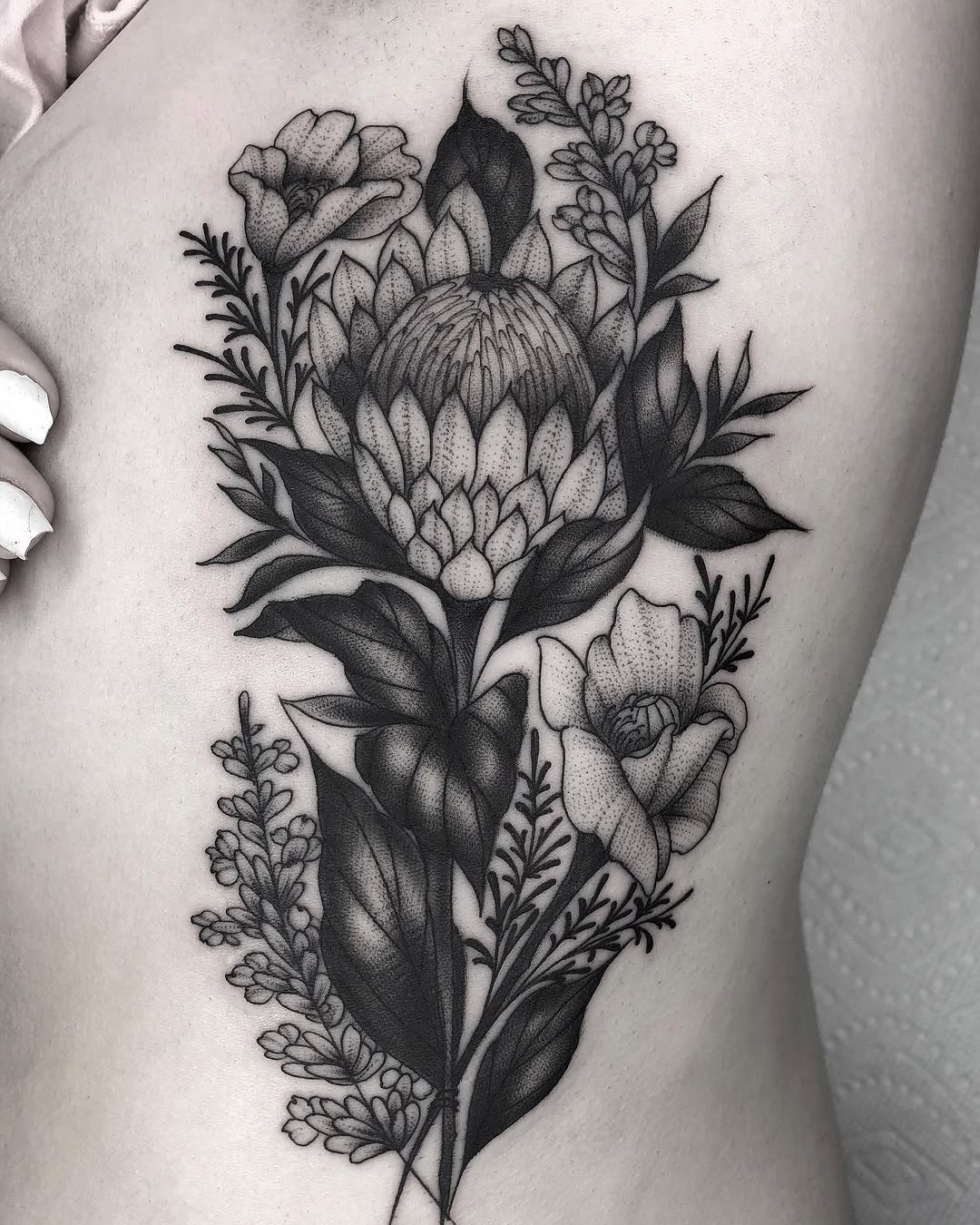 Flower, Rose, Nature
