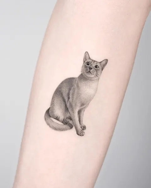여우 가면, 고양이