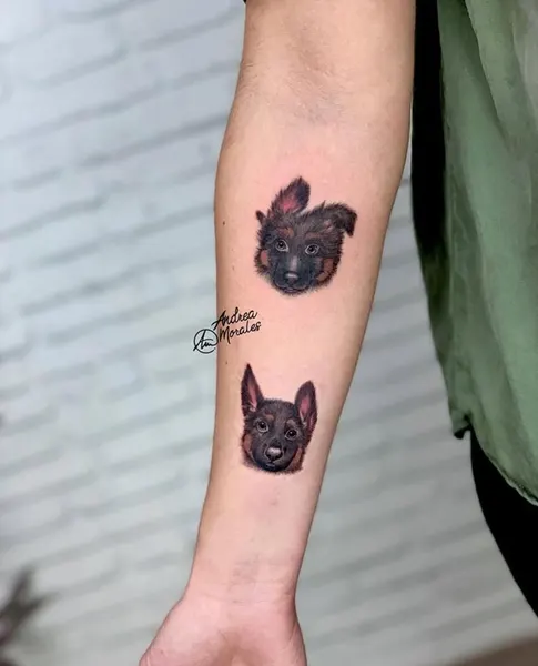 Animal