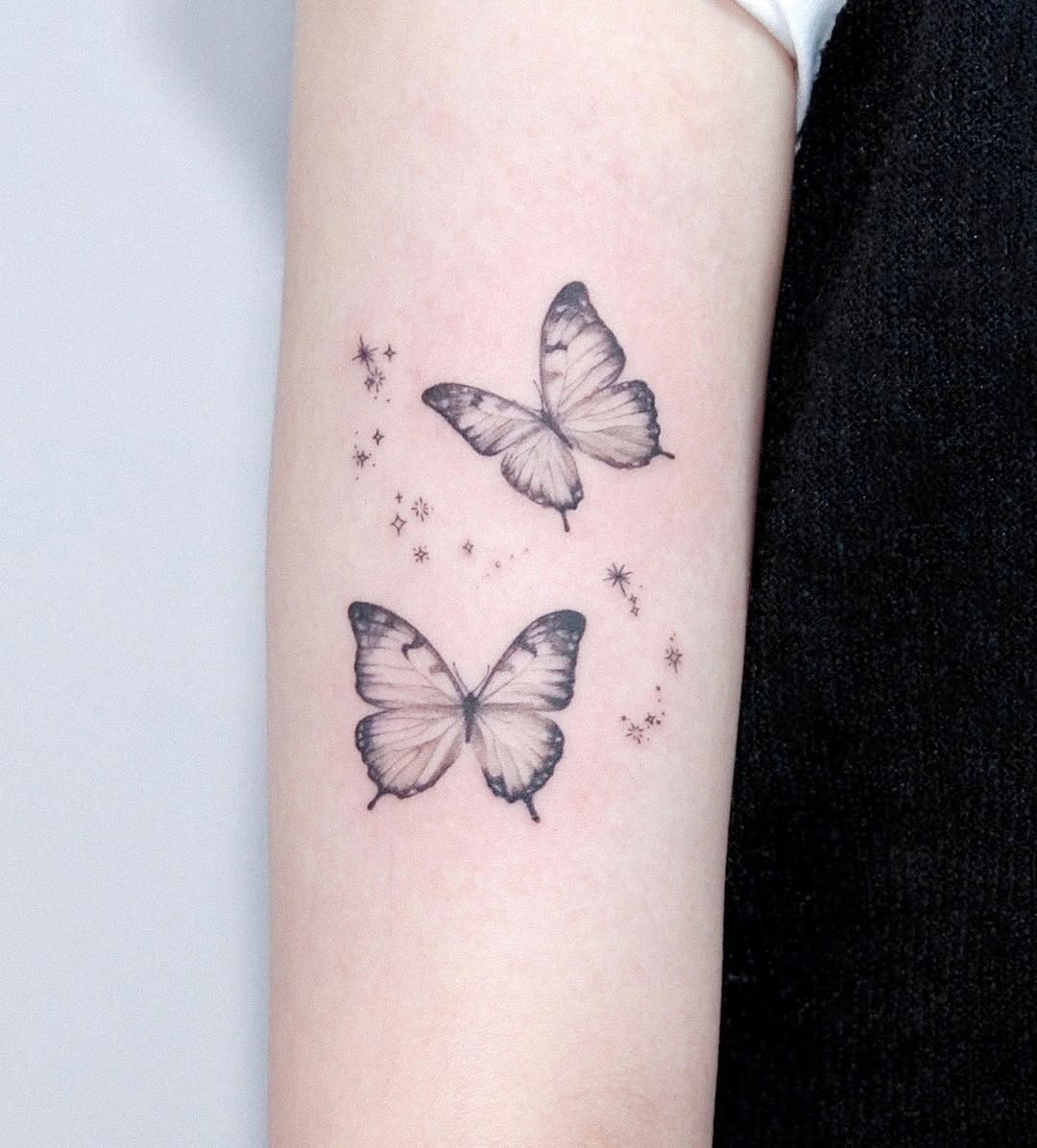 Animal, Nature, 나비