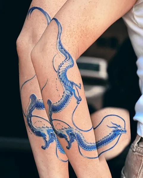 Dragon, 강, 잉어, 해마