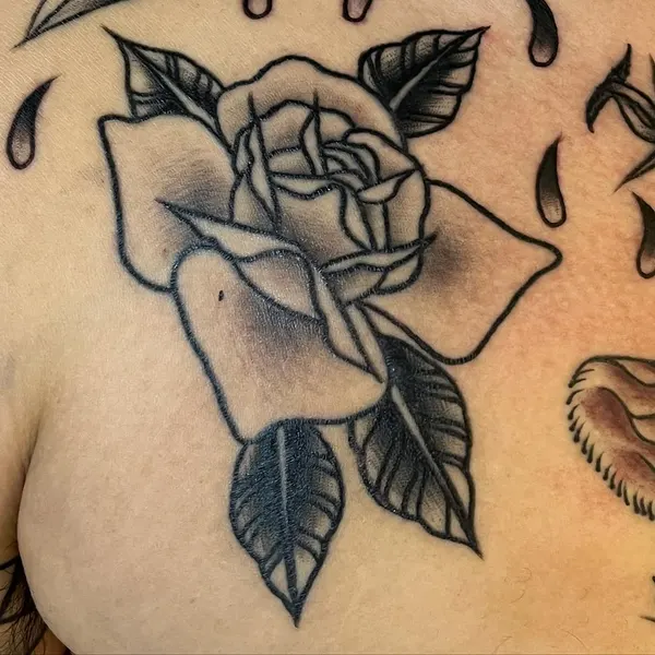 Flower, Rose, Nature
