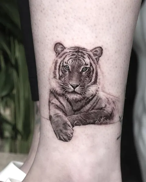Tiger, 중국 호랑이, 치타, 재규어