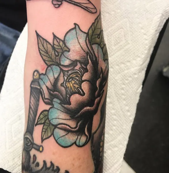 Flower, Rose