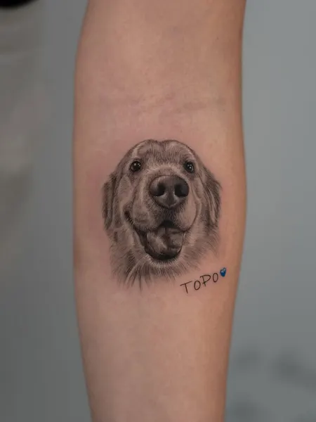 Animal, 강아지