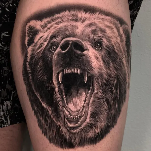 Animal, 곰