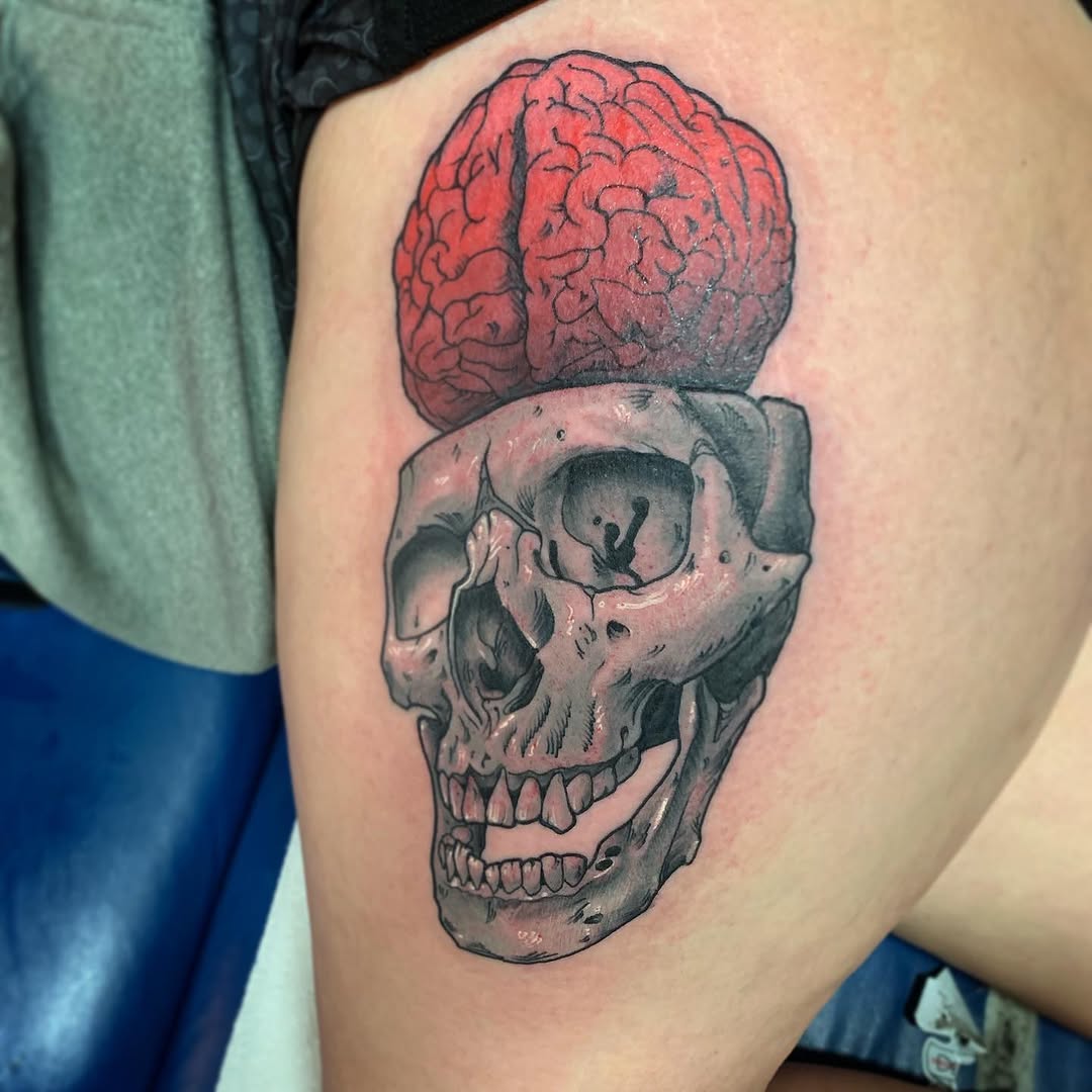 뇌, Skull