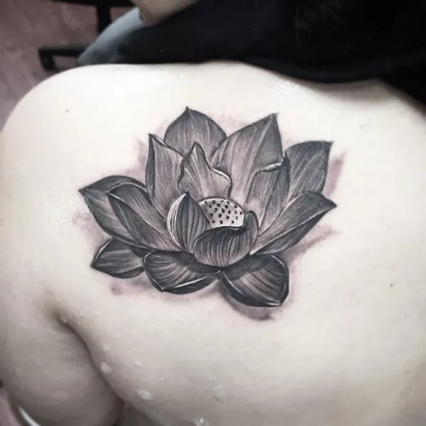 Flower, 연꽃, 연꽃 문양, 한국 연꽃, 연꽃 만다라