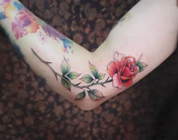 Flower, Rose