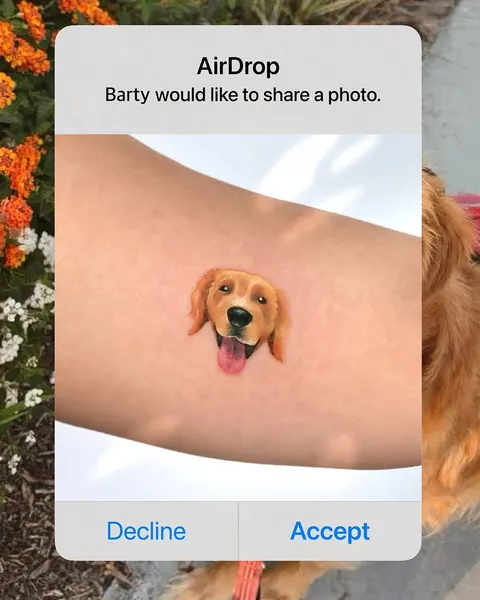 Animal