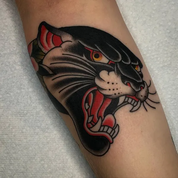 Animal, Tiger