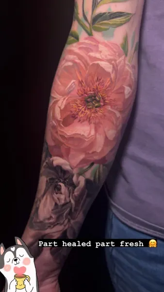 Flower, Rose