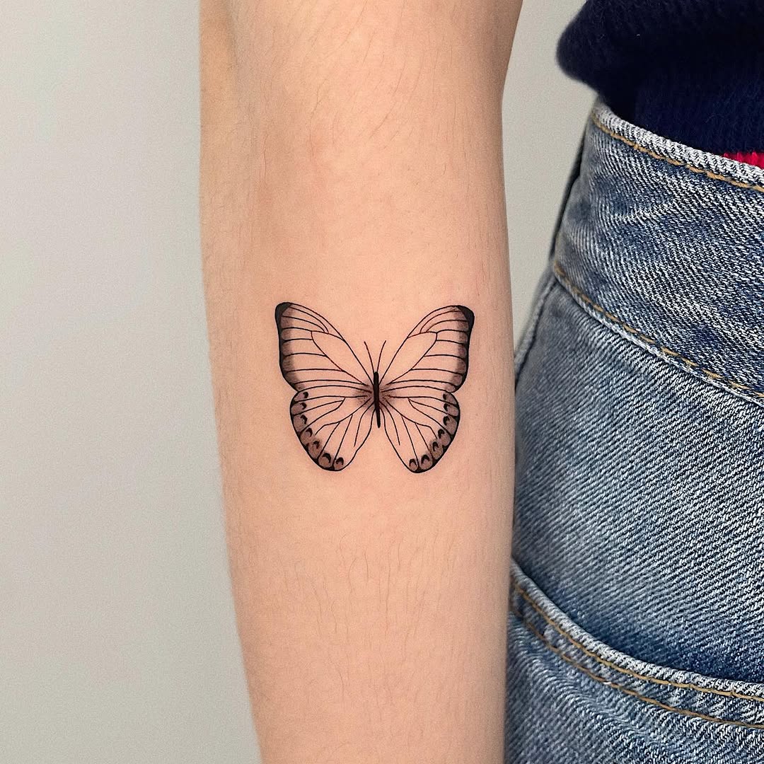 Animal, Nature, 나방, 나비