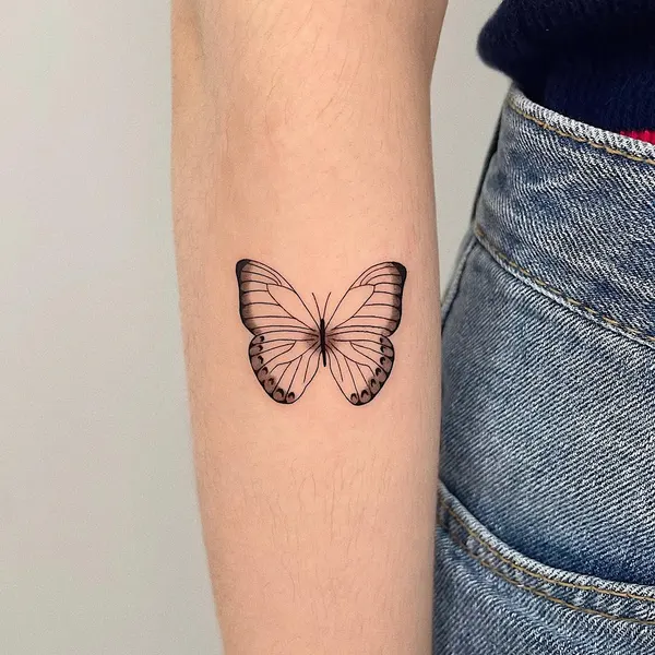 Animal, Nature, 나방, 나비