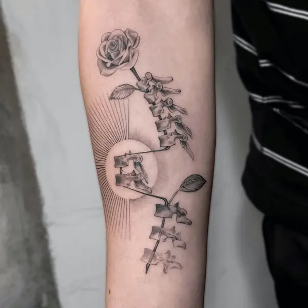 Flower, Rose