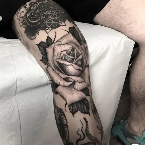 Flower, Rose
