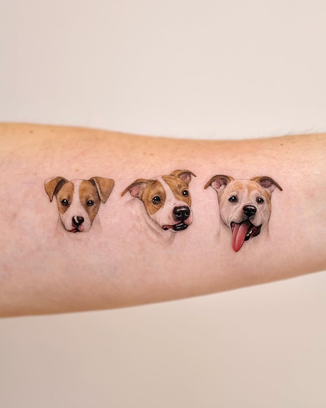 paw.tattoo