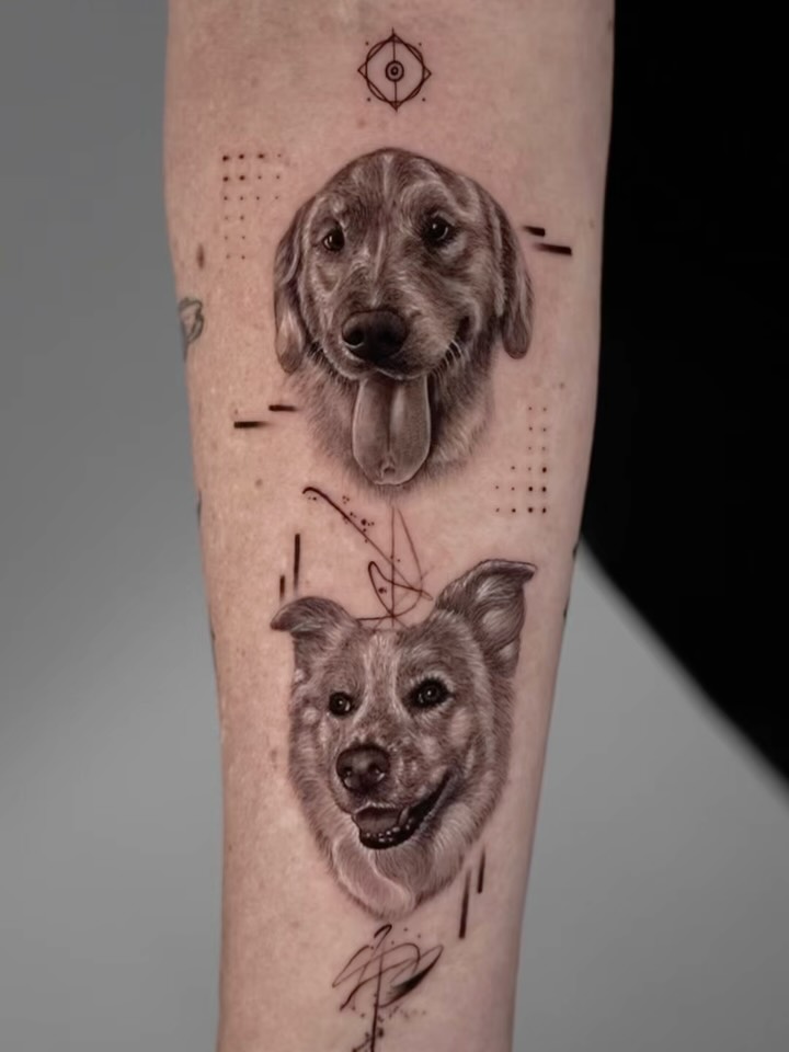 Animal