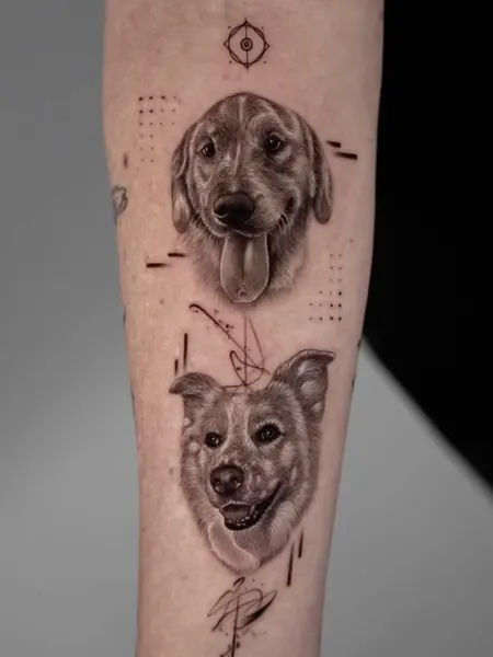 Animal