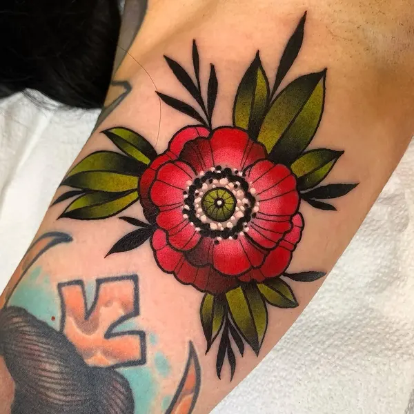 Flower, Rose, 양귀비