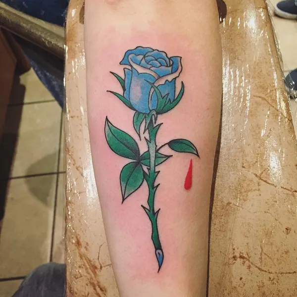 Flower, Rose, Nature