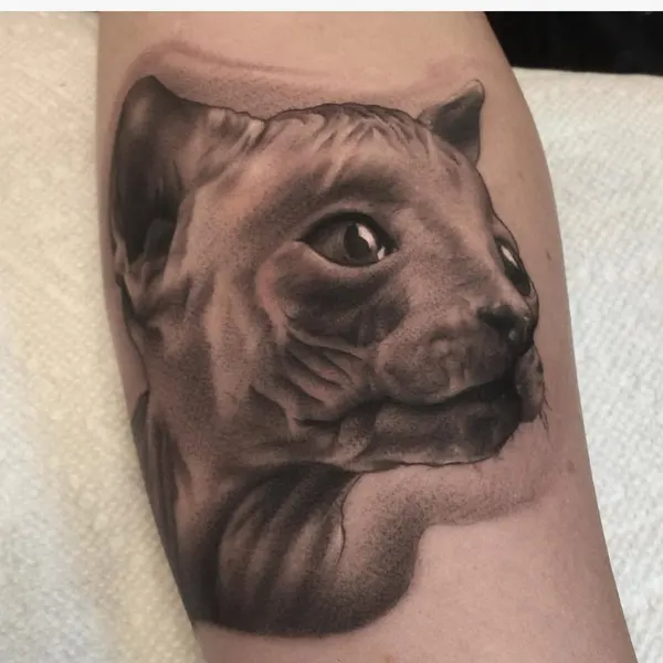 Animal