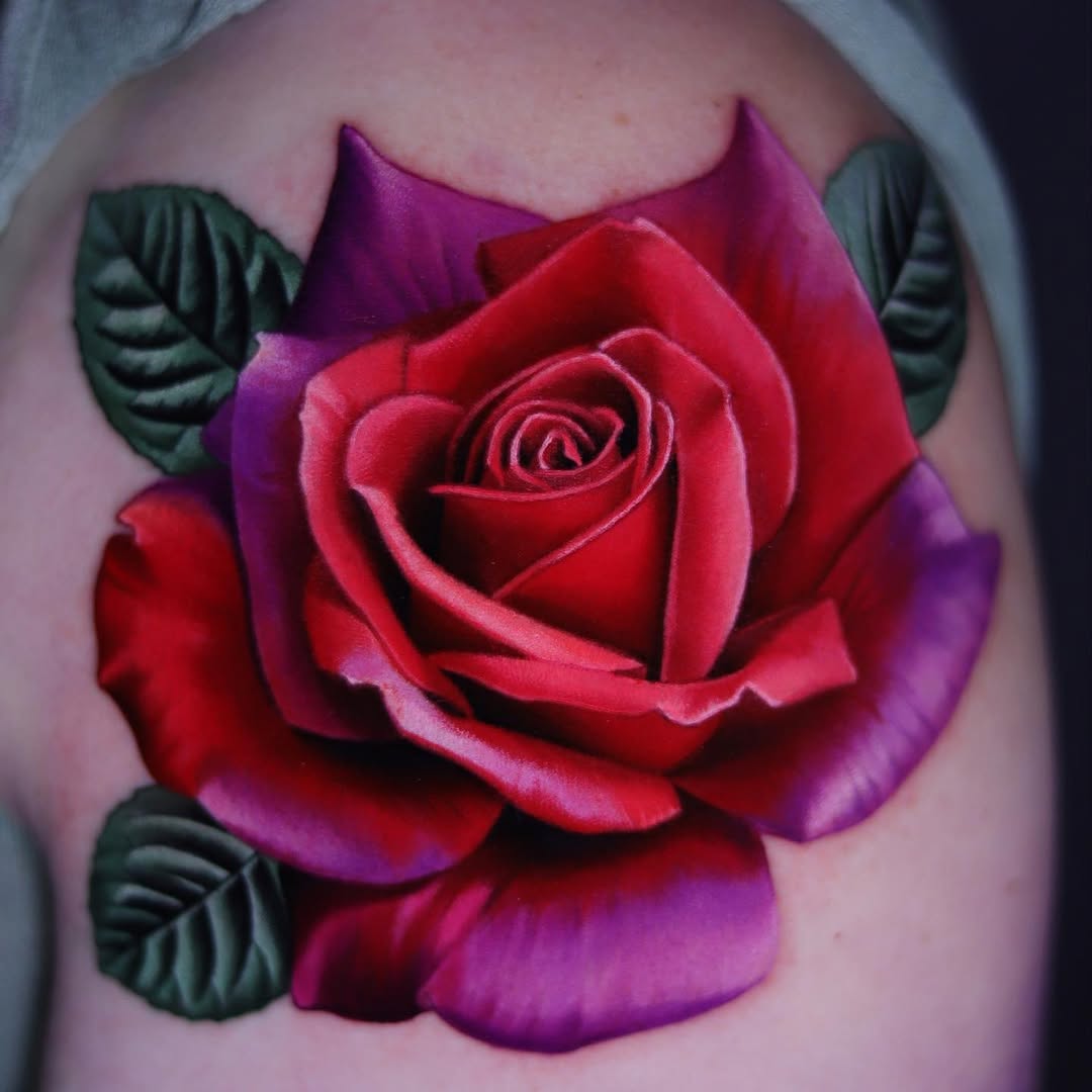 Flower, Rose