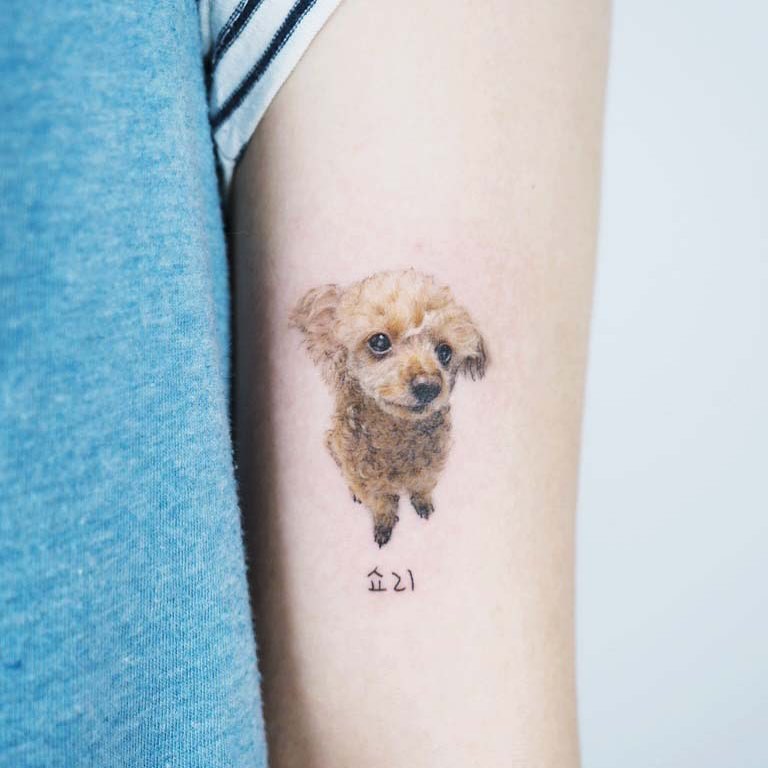 강아지, 반려동물, 반려동물 추모