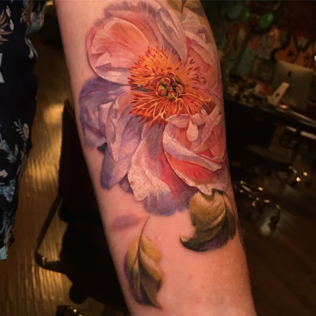 Flower, Rose, 모란