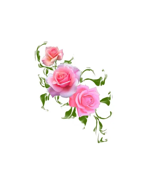 Flower, Nature